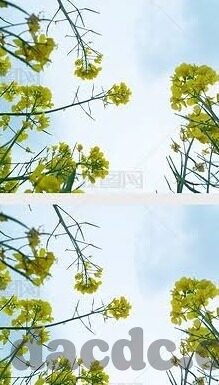 4080伦理-4080时代的伦理探索，重塑人类价值观的挑战与机遇