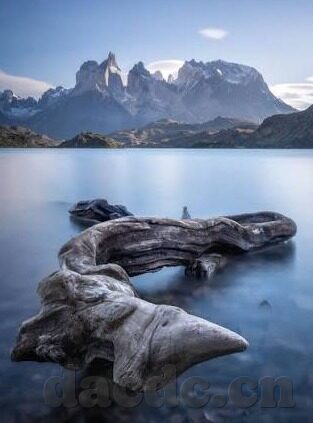 成人蜜桃视频免费-成人蜜桃视频免费，网络时代下的信息选择与道德边界