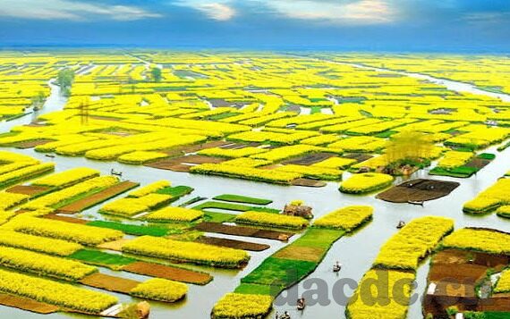 大象传媒app下载汅-探索大象传媒APP，数字娱乐的新篇章