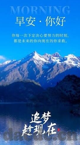 青青草成人在线观看视频-青青草，成人内容观看的误区与警示