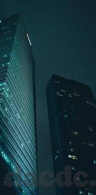 神马午夜麻豆视频-构建健康网络环境，理清神马午夜麻豆视频背后的真相与影响